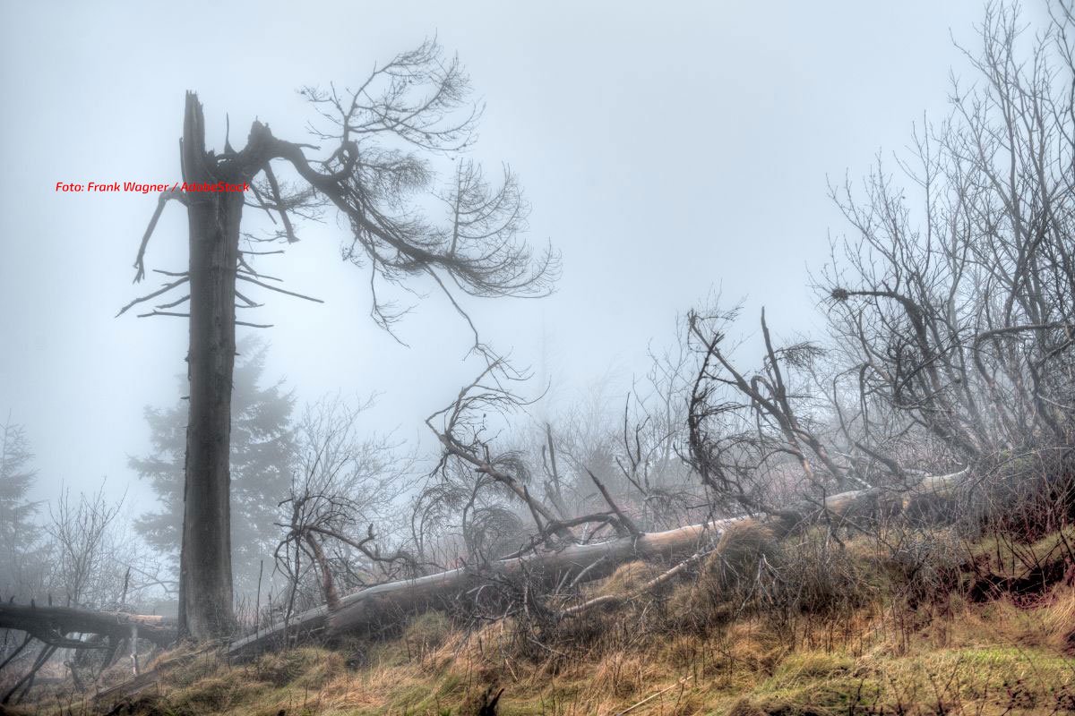 Orkanböen im Harz: Brocken-Ausflüge bis Samstag riskant